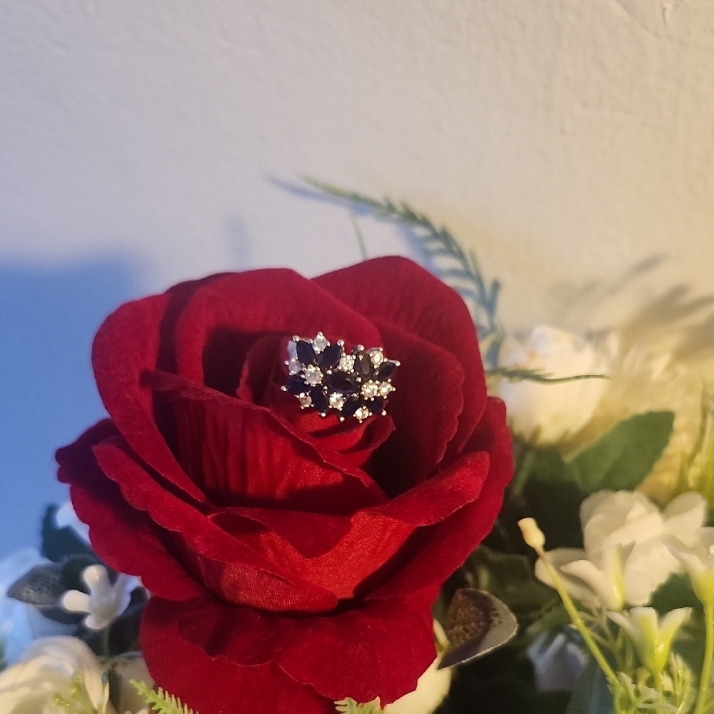 Elegant Silver and Black Cluster Ring